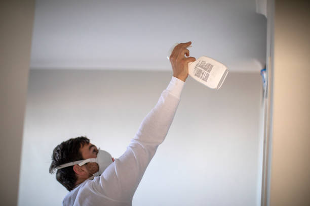 Best Industrial Mold Remediation in Harrison, NY