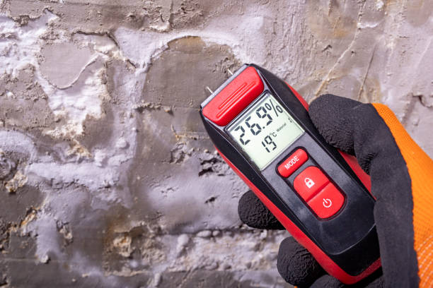 Professional Mold Remediation in Harrison, NY